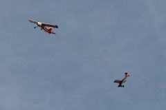 img_6905_tss.jpg