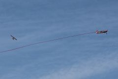 img_6909_tss.jpg