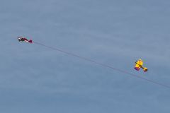 img_6936_tss.jpg