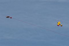 img_6937_tss.jpg