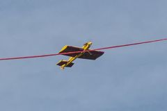 img_6954_tss.jpg