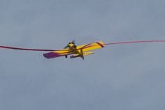 img_6965_tss.jpg