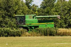 img_9295_tss.jpg