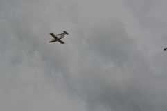 dsc_8588.jpg