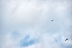 dsc06513.jpg