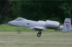 ye6p5036_2_.jpg