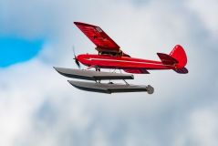 dsc_2609.jpg