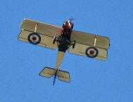 DSCN1828.jpg