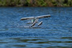 31-DSC_0452.jpg