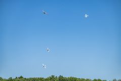 83-DSC_0849.jpg