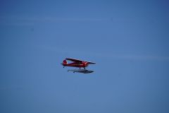 DSC02845.jpg