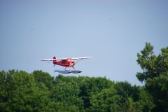 DSC02858.jpg