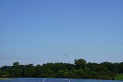 DSC02864.jpg