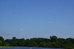 DSC02865.jpg