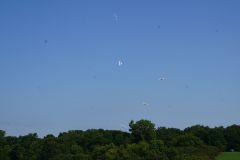 DSC02868.jpg