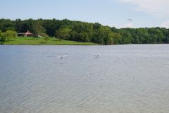DSC02873.jpg