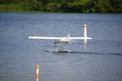 DSC02910.jpg