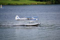 DSC02916.jpg