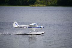 DSC02917.jpg