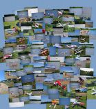 collage.jpg