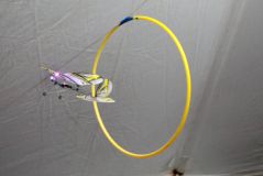H21A0912s.jpg