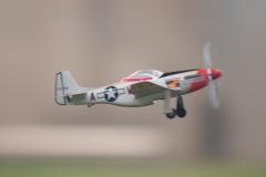 D09_5616.jpg