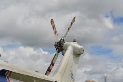 DSC_4299.JPG