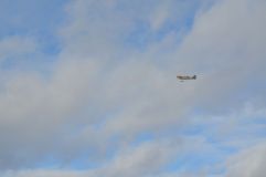 DSC_4635.JPG