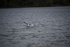 D15_2488.jpg
